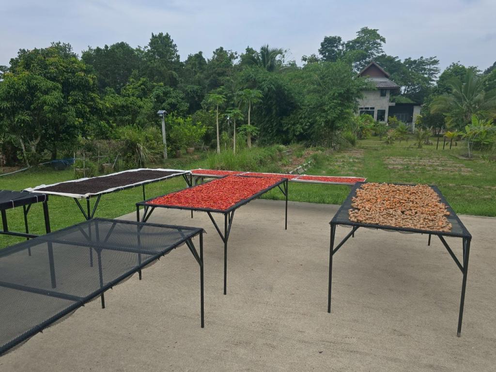 DIPROM CENTER 11 ลงพื้นที่ติดตามการดำเนินงาน กิจกรรมการนำมาตรฐานทั่วไปพัฒนาธุรกิจเกษตรแปรรูปเป้าหมาย/(GHP/HACCP)