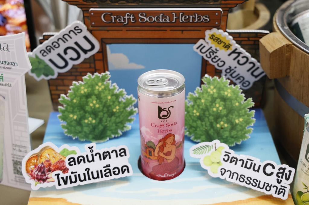 #DC 11 ลงพื้นที่ติดตามผลการดำเนินงานของผู้เชี่ยวชาญจาก บริษัท วา วี อา เต จำกัด