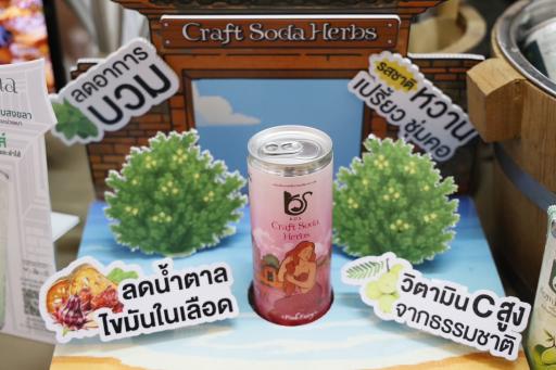 #DC 11 ลงพื้นที่ติดตามผลการดำเนินงานของผู้เชี่ยวชาญจาก บริษัท วา วี อา เต จำกัด